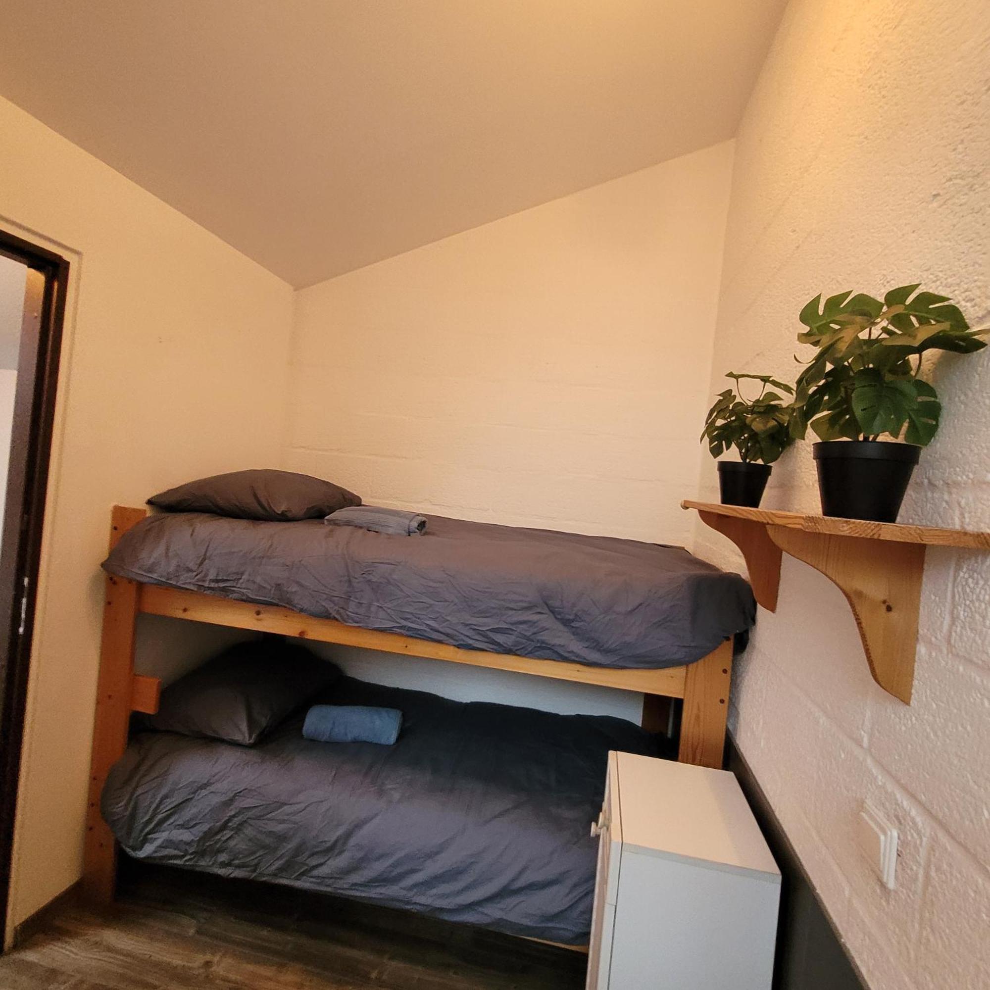 Oemoemenoe - 6 Pers - Sauna - Grote Tuin & Privacy Kortgene Zewnętrze zdjęcie